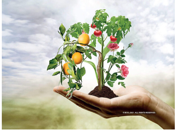 Crop Improvement Laboratory