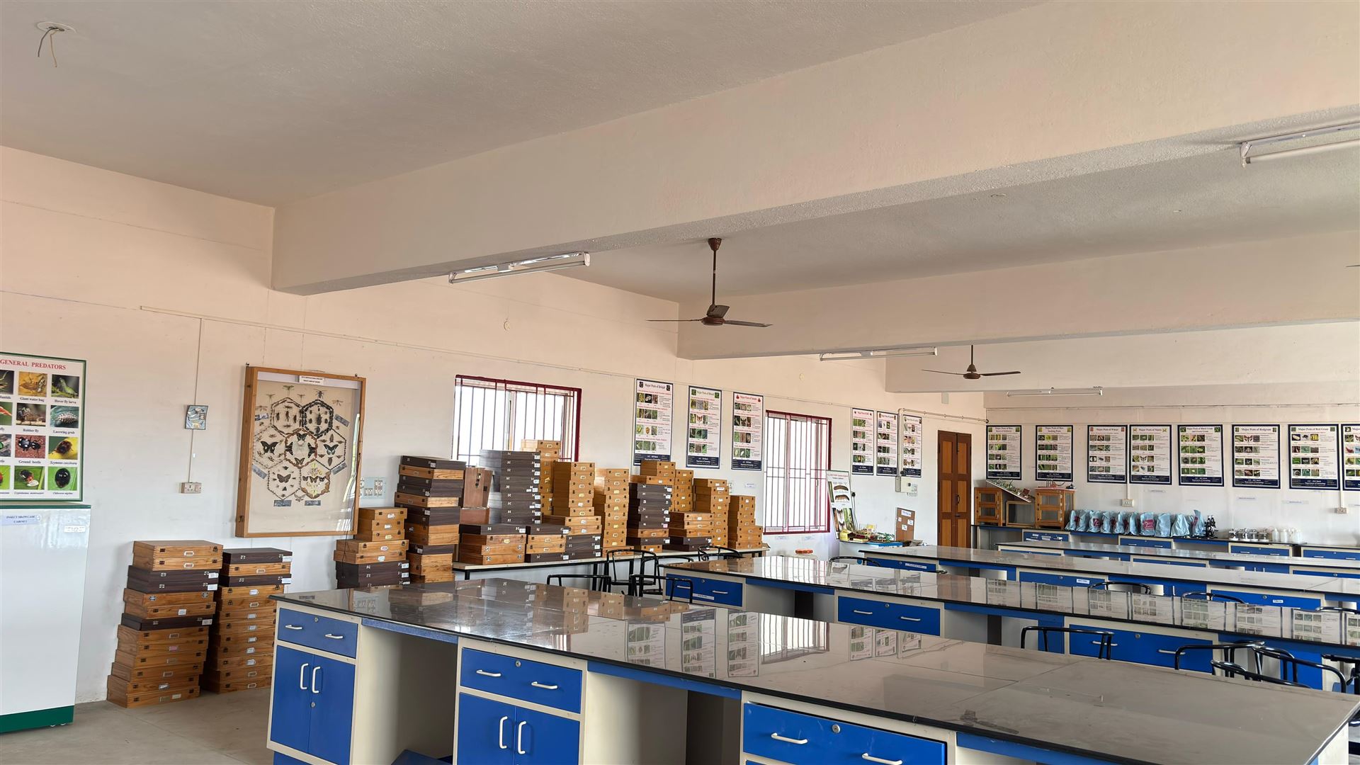 Agricultural Entomology Lab