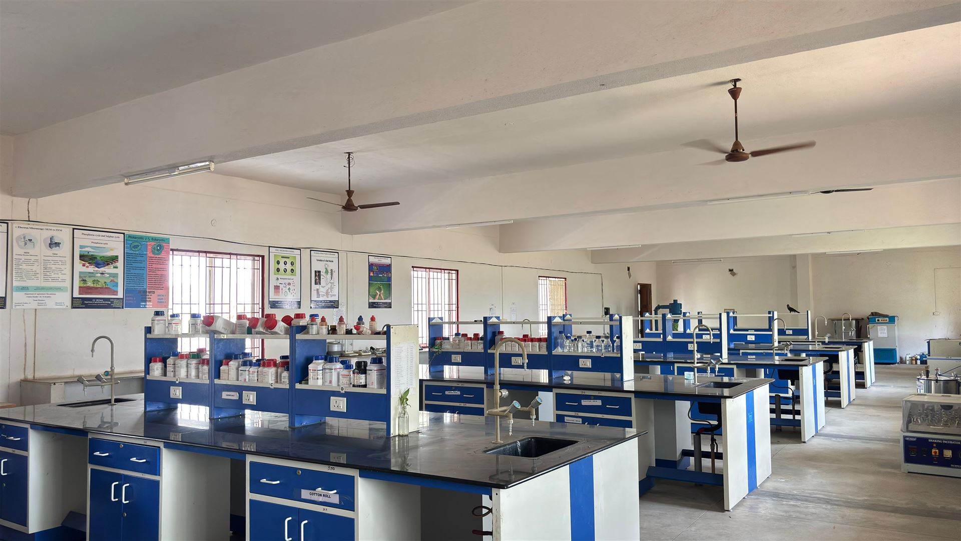 Agricultural Microbiology Lab