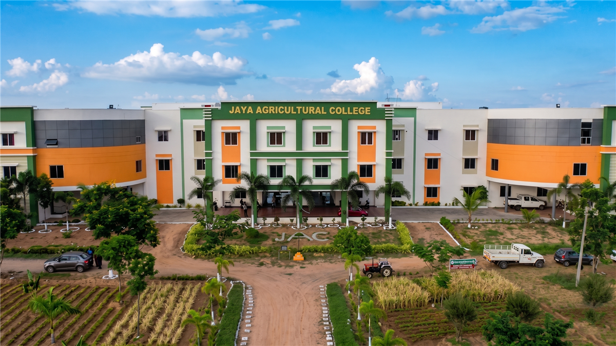 College Building